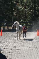 1109NAETC_478