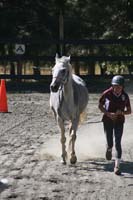 1109NAETC_479