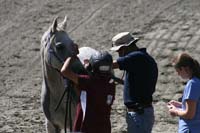 1109NAETC_481
