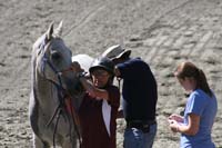1109NAETC_482