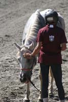1109NAETC_484