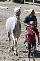 1109NAETC_485