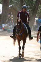 1109NAETC_486