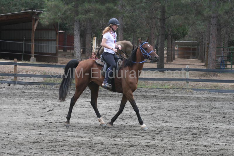 1109NAETC_614Q