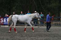 1109NAETC_614A