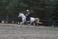 1109NAETC_614D