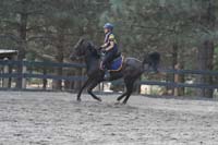 1109NAETC_619H