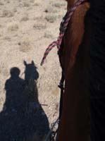 1109OwyC_140