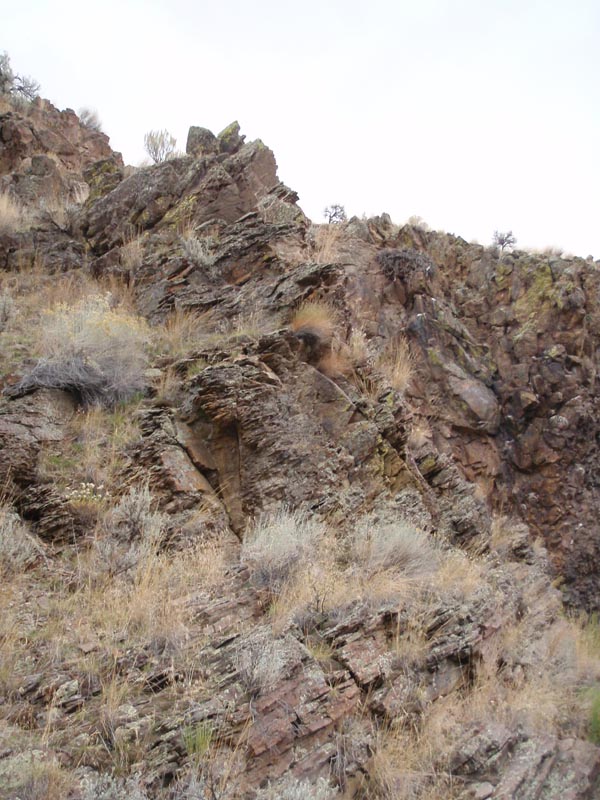 PA290507