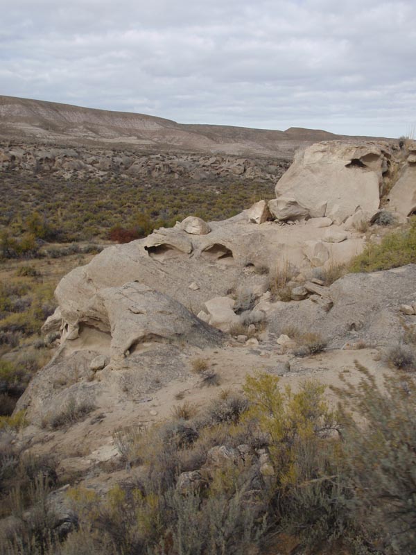 PA290539