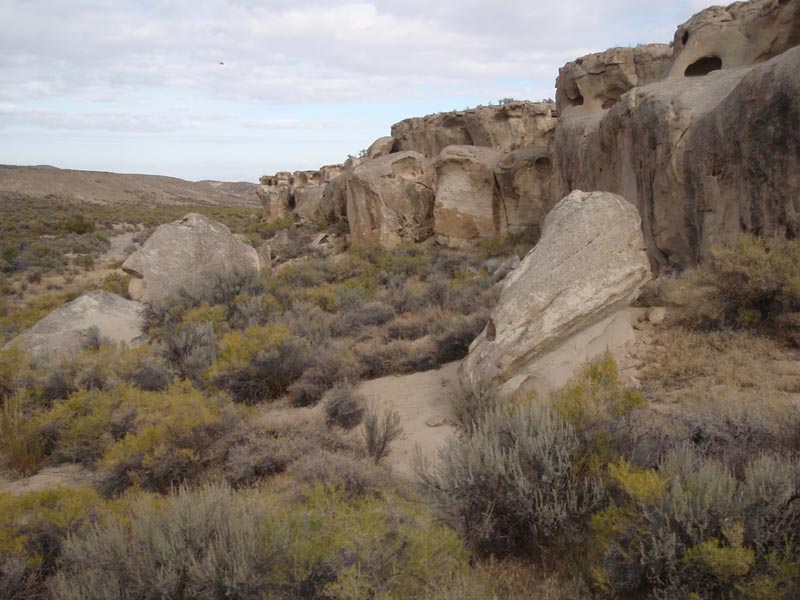 PA290542