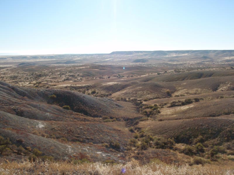PA300040