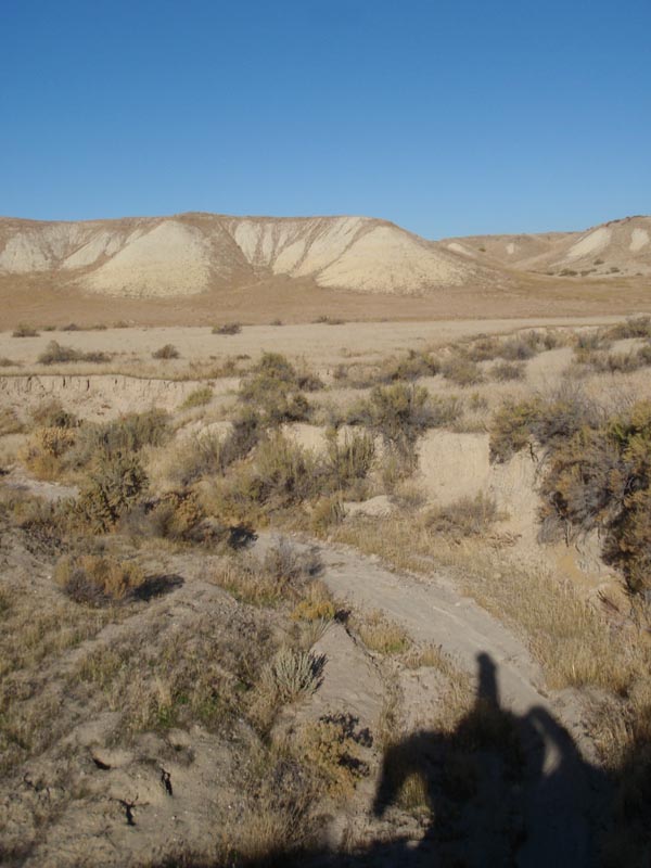 PA300049