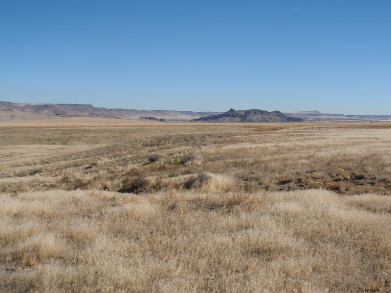 PA300075