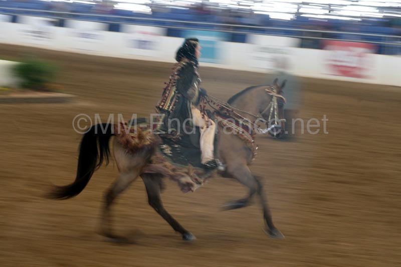 1102SAS_0325