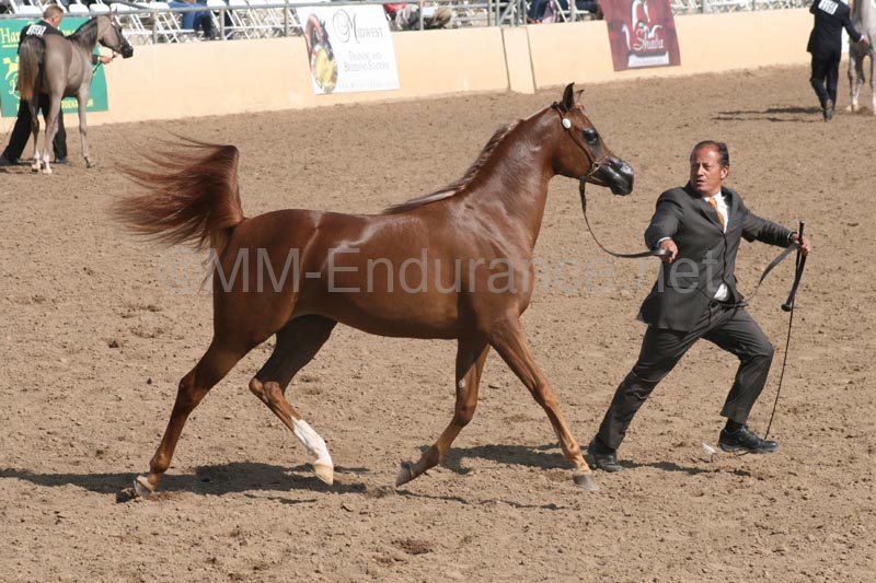1102SAS_0368