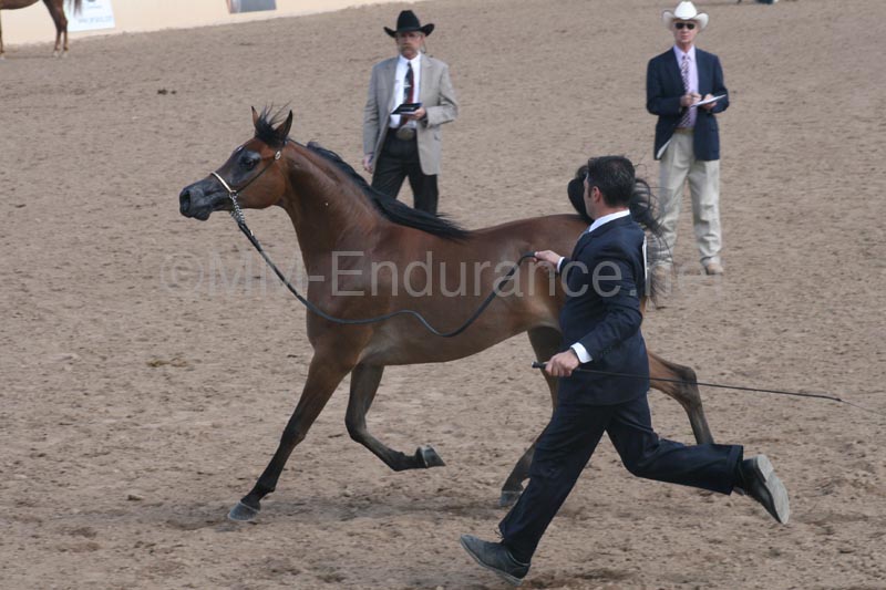 1102SAS_0372