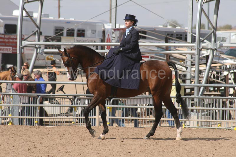 1102SAS_0381