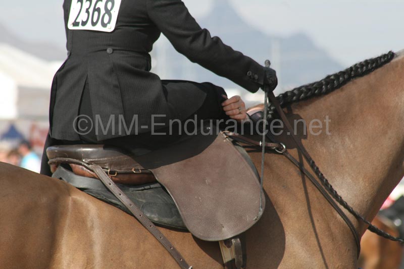 1102SAS_0382