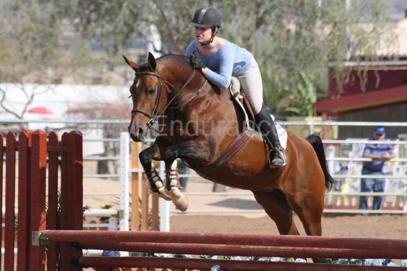 1102SAS_0385
