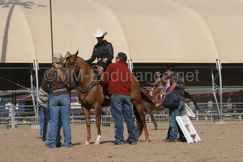 1102SAS_0395