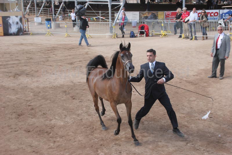 1102SAS_0398E