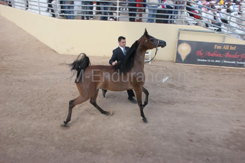 1102SAS_0398F