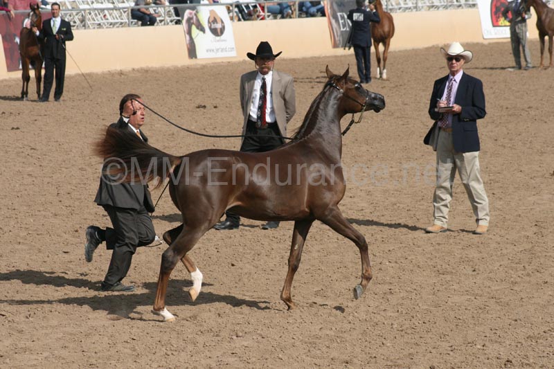 1102SAS_0405