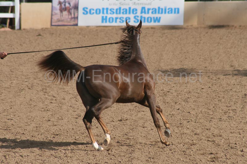 1102SAS_0406