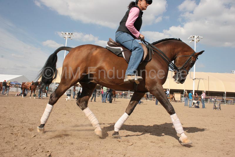 1102SAS_0406A