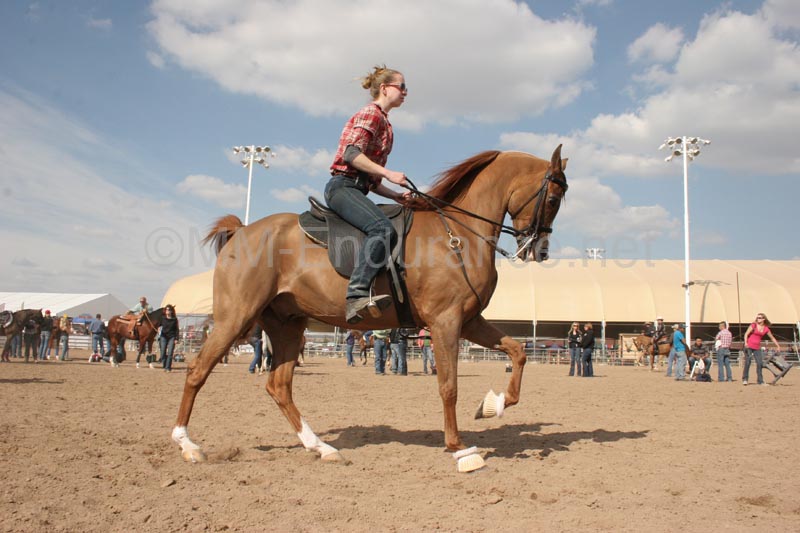 1102SAS_0406B