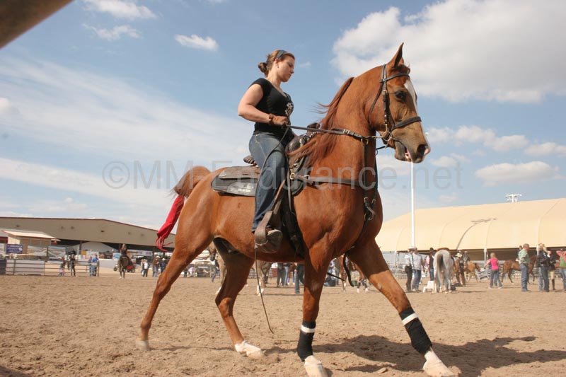 1102SAS_0406C