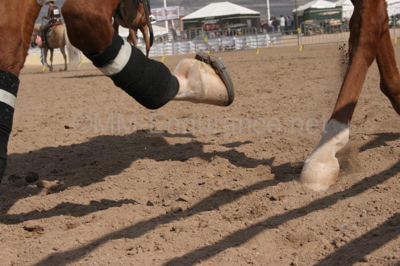 1102SAS_0406D