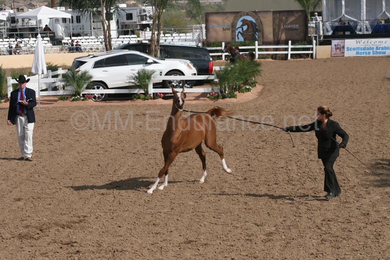 1102SAS_0408