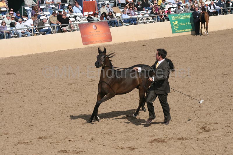 1102SAS_0410