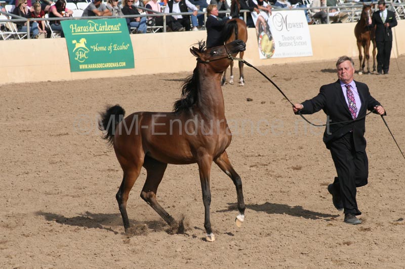 1102SAS_0413