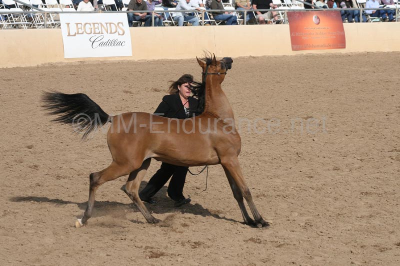 1102SAS_0420
