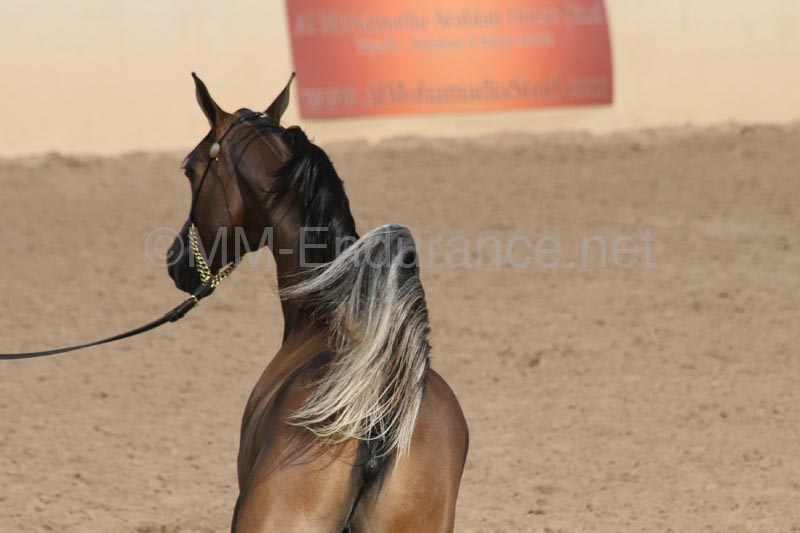 1102SAS_0422
