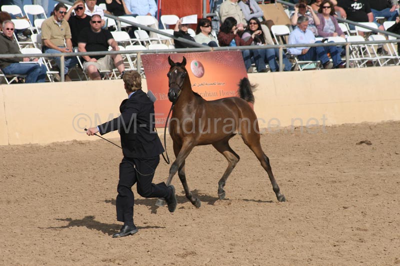 1102SAS_0423