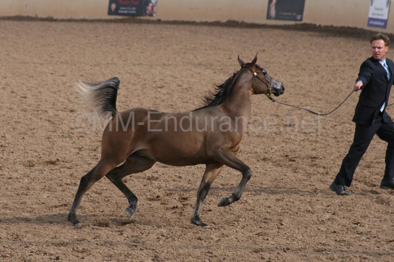 1102SAS_0425