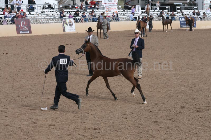1102SAS_0439