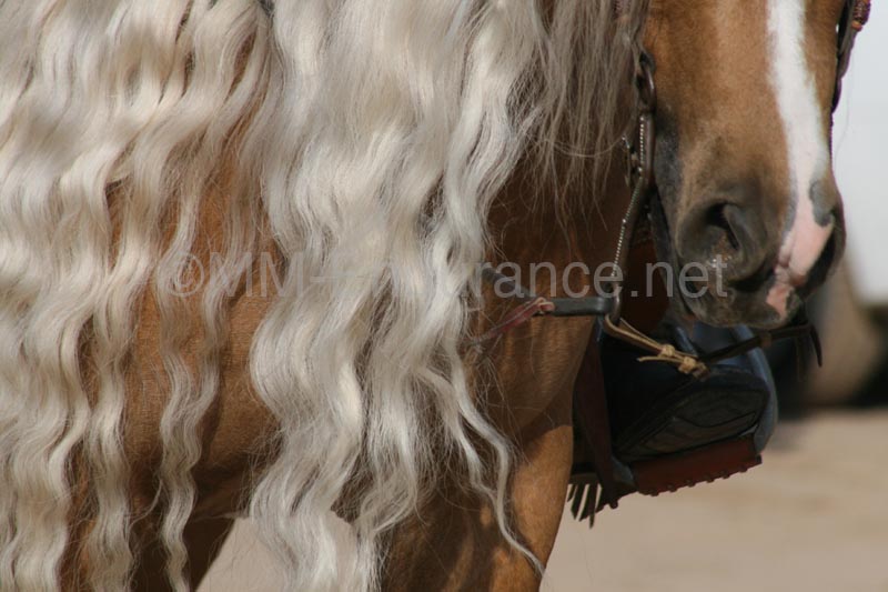 1102SAS_0446