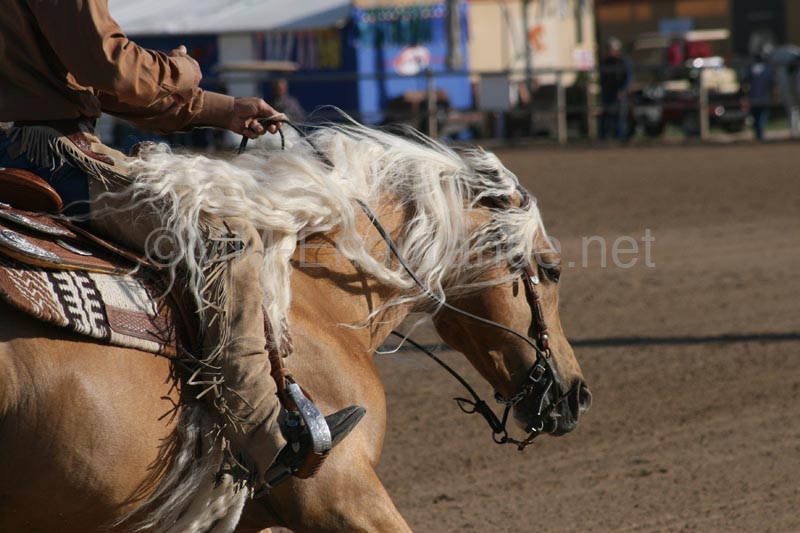 1102SAS_0457