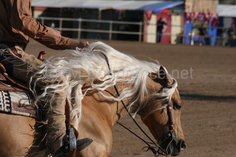 1102SAS_0459