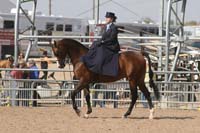 1102SAS_0381