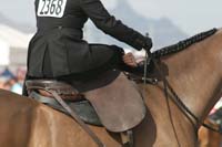 1102SAS_0382