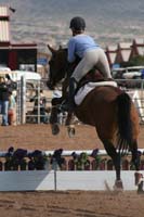 1102SAS_0384