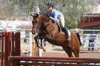 1102SAS_0385
