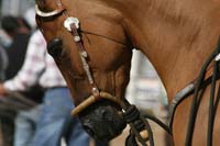 1102SAS_0386
