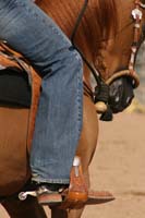 1102SAS_0390